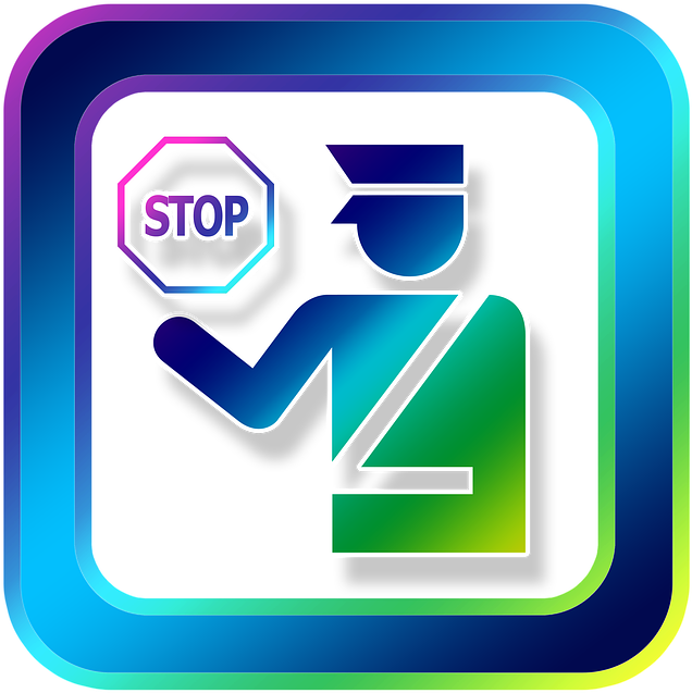 Icon, Stop, Cop, Id, Id Card Control, Entry, Customs - Customs Icon (720x720), Png Download