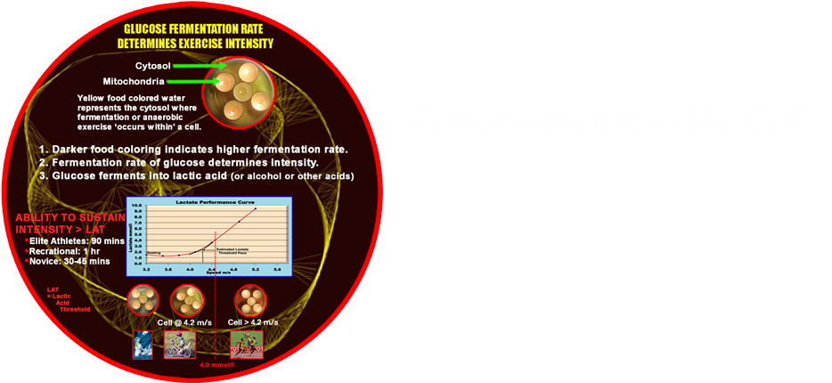 The Physical Rules - Circle (1000x500), Png Download