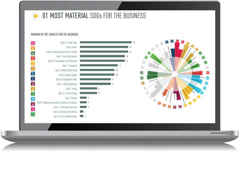 Sdg Business Dashboard (846x600), Png Download