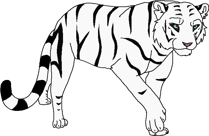 Tigers - Siberian Tiger (753x525), Png Download