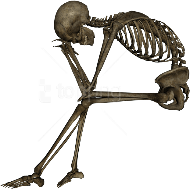 Free Png Skeleton, Skull Png Images Transparent - Skeleton Transparent (850x638), Png Download