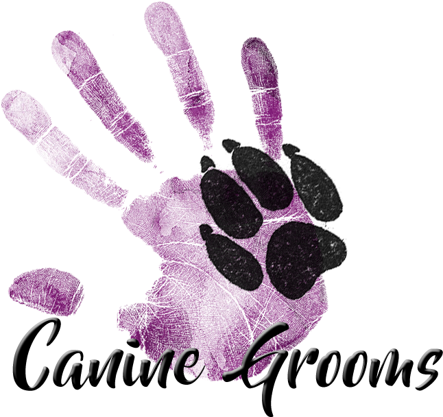 Dog Grooming Logo, Dog Logo Ideas - Dog Grooming Logo Ideas (1000x1000), Png Download
