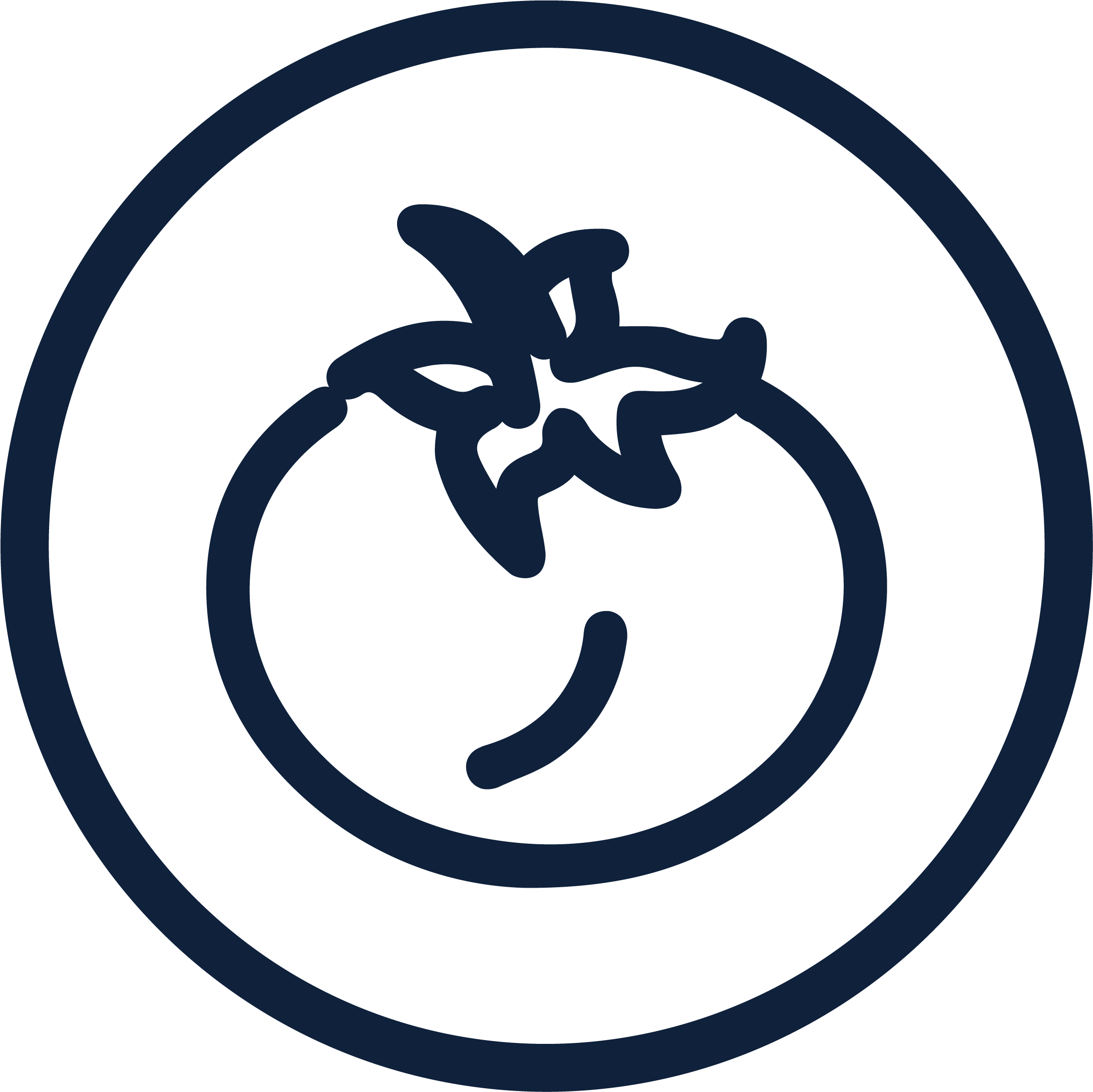 Dr Will's Is Made With Real Tomatoes - Emblem (2667x2668), Png Download