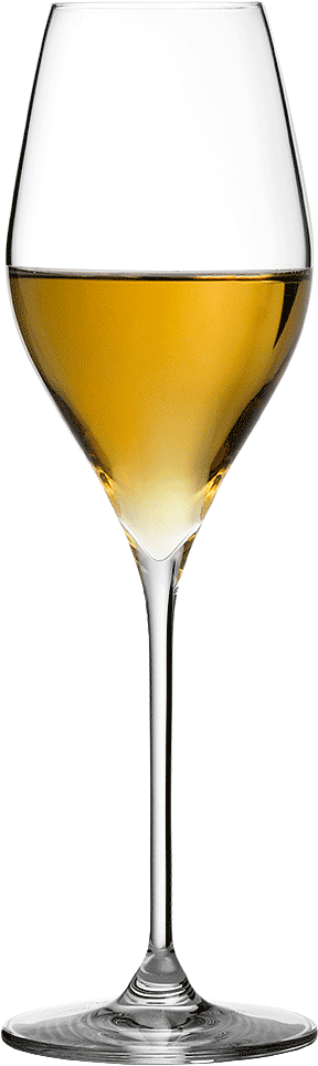 1000 X 1000 6 - Champagne Glass Proper (1000x1000), Png Download