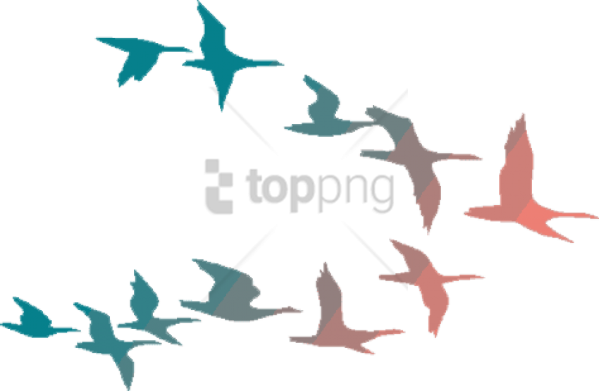 Free Png Colorful Flying Birds Png Image With Transparent - Colorful Flying Birds Png (850x555), Png Download