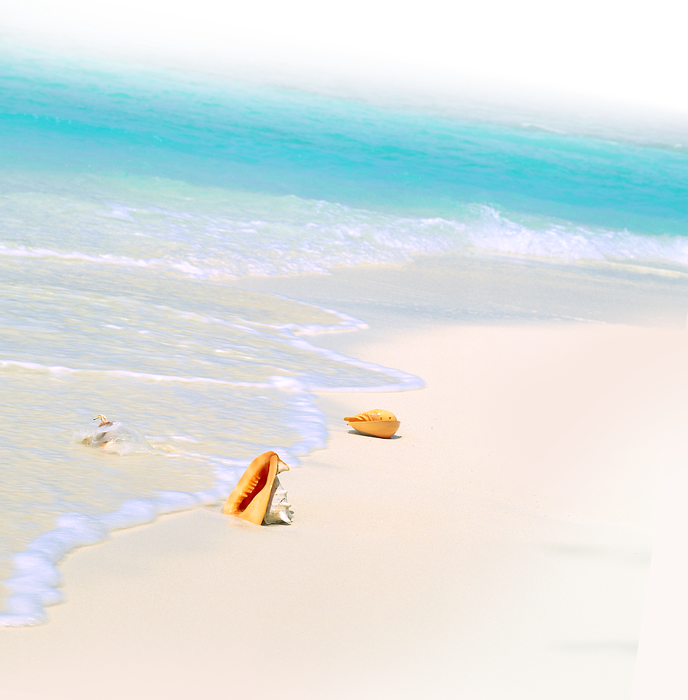 Sand Beach Background - Beach Ridge (979x997), Png Download
