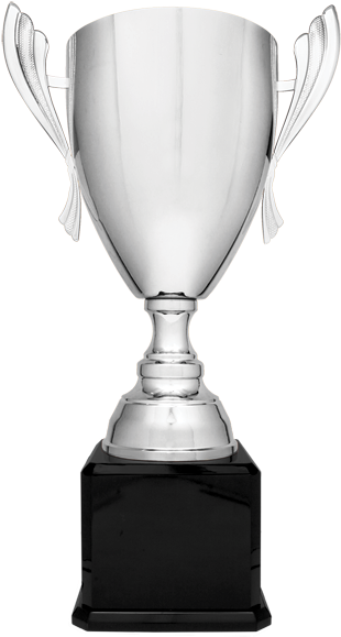 Silver Tradition Trophy Cup - Trophy (580x580), Png Download