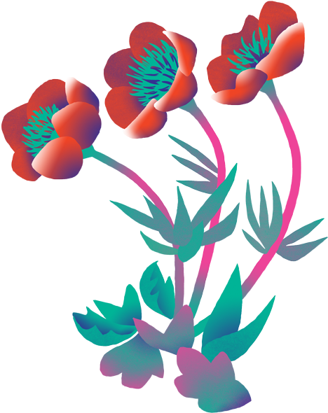 What Plant Would You Thank For Your Next Big Idea (700x700), Png Download