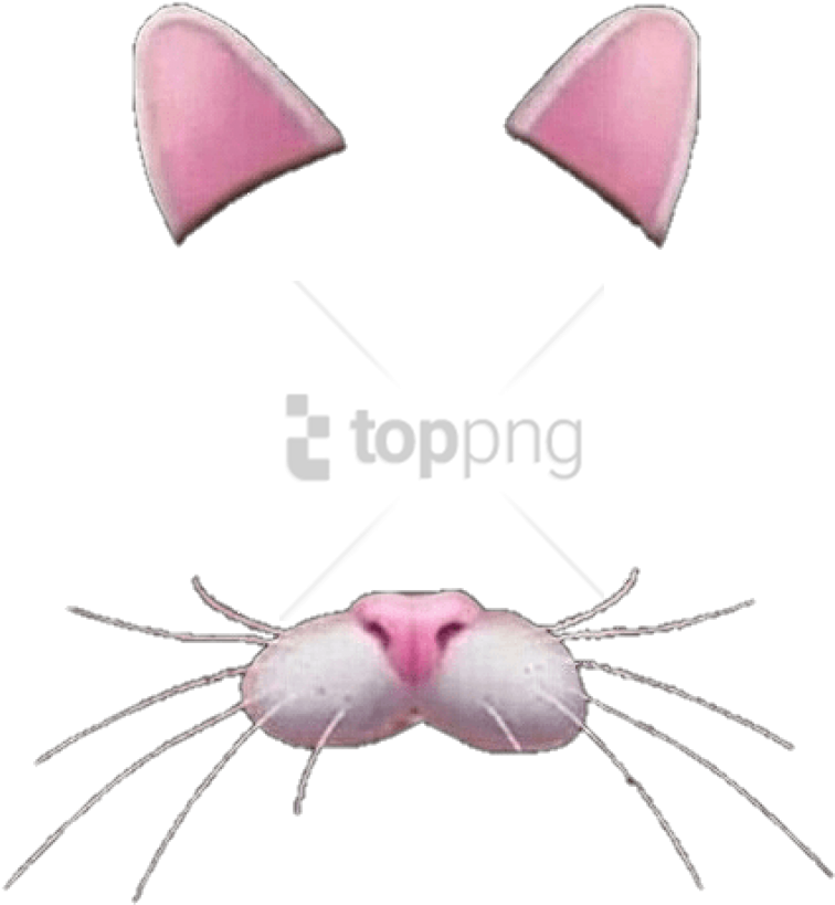 Free Png Flower Crown Transparent Overlay Png Image - Orejas De Gato Snapchat (850x849), Png Download