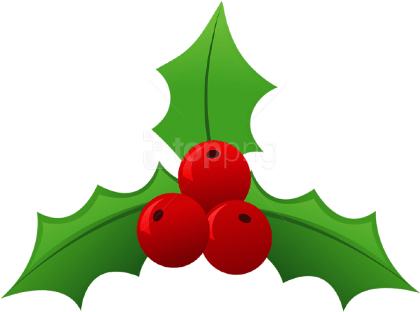 Free Png Holly Png Images Transparent - Mistletoe Png (850x634), Png Download