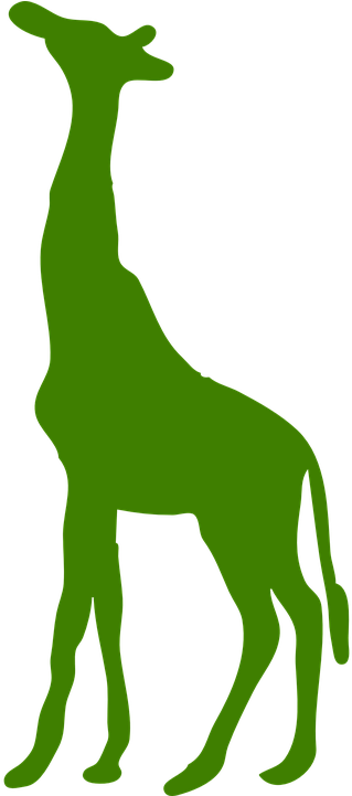 Resource Centre - - African Giraffe Silhouette (720x720), Png Download