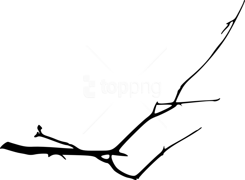 Free Png Simple Tree Branch Png - Line Art (850x625), Png Download