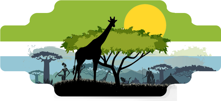 Service Learning & Educational Tours Kenya - Giraffe (1000x414), Png Download