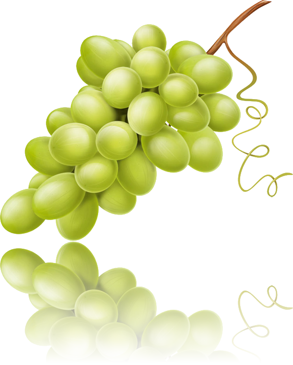 Uvas Con Reflejo - Seedless Fruit (594x740), Png Download