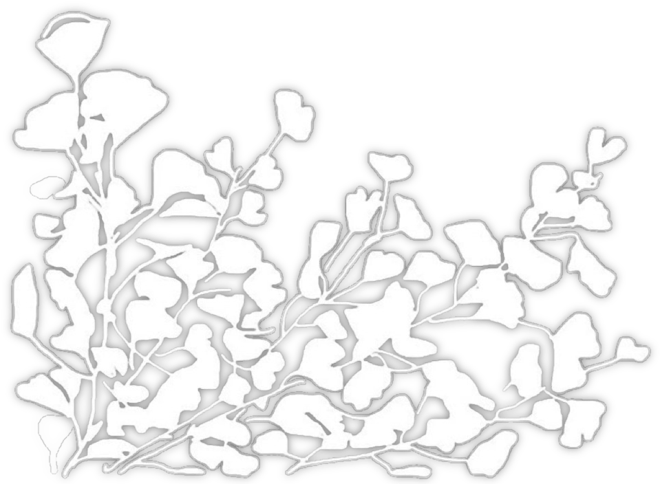 Flower Overlay I Suppose So Sticker Stickers - Flower (1021x1024), Png Download