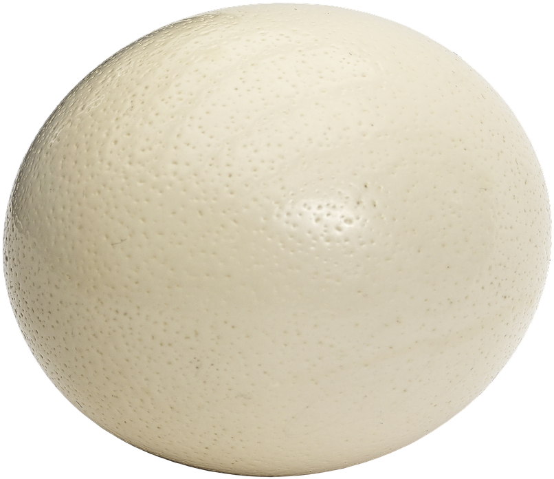 Ostrich Egg, Egg, Large Egg, Bouquet, Oval - Ostrich Egg Png (841x720), Png Download