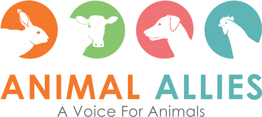 Join Vss - Annual Meeting Church Potluck (1024x724), Png Download