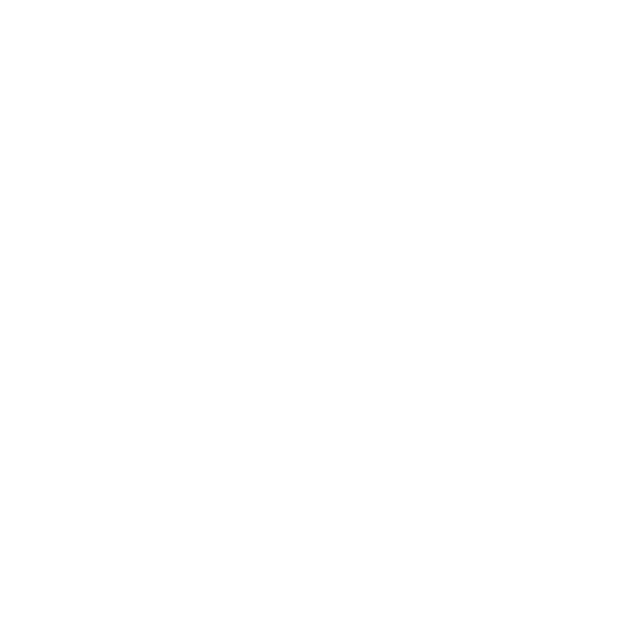 Incision Evo No Pi - Png Format Twitter Logo White (2648x2648), Png Download