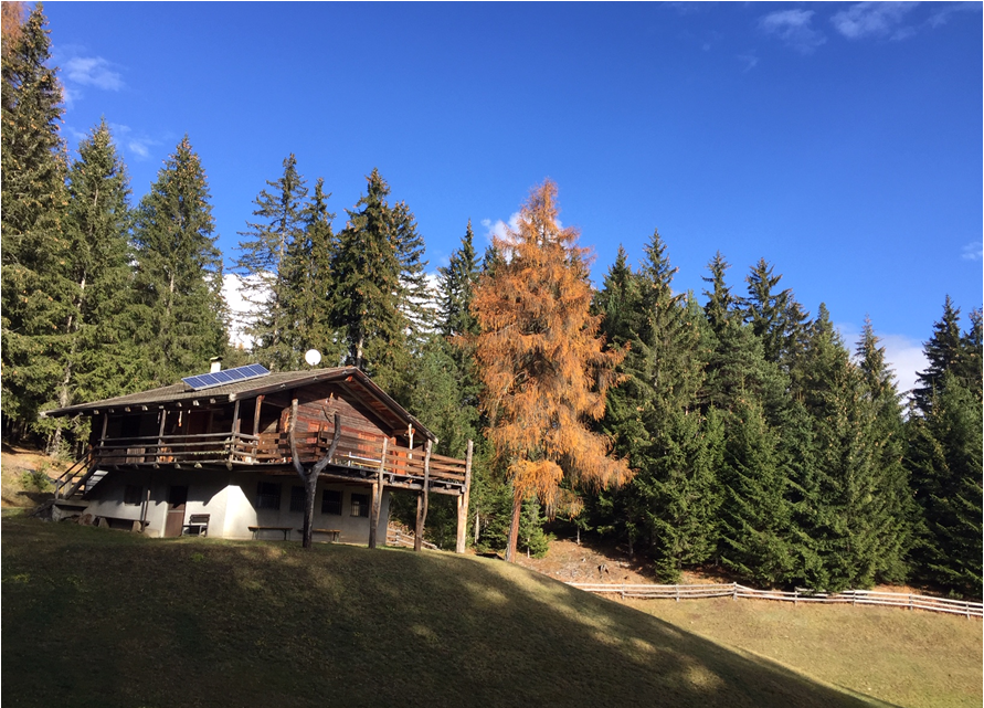 Our Mountain Lodge - American Larch (1874x640), Png Download