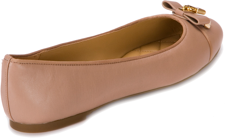 Buy Ballerina Shoes Michael Kors Alice Truffle 40t7alfp2l - Ballet Flat (800x800), Png Download
