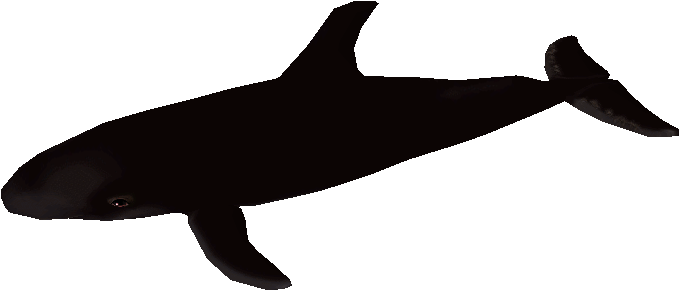 Download Zip Archive - Killer Whale (750x650), Png Download