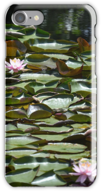 Lilly Pads By Pamela Carter Guindon - Mobile Phone Case (500x667), Png Download