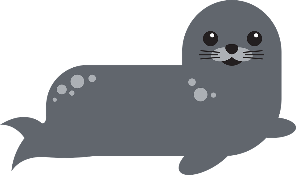 Sea Lion Clipart Transparent - Harbor Seal Cartoon (960x569), Png Download
