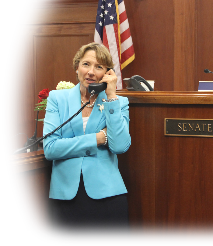 Giessel Bio Portrait 90pct - Flag Of The United States (700x806), Png Download