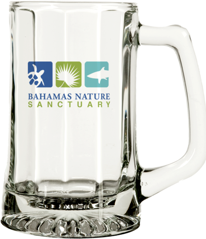 Product - Beer Stein (600x600), Png Download
