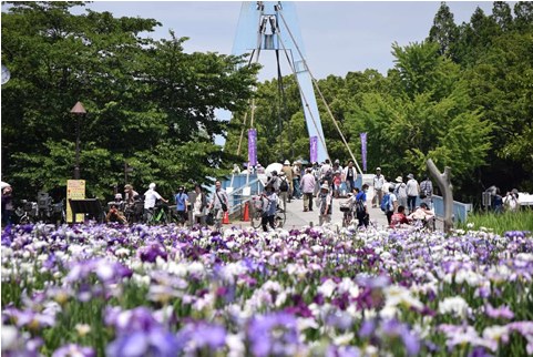 Keywords - Lavandula Dentata (1400x1100), Png Download