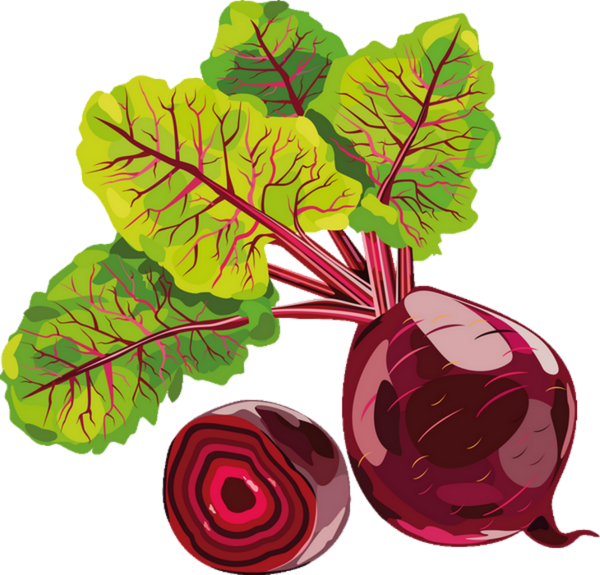 Svg Royalty Free Download Vegetable Chard Beetroot - Betterave Rouge Dessin (600x575), Png Download