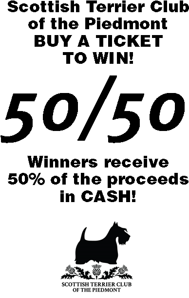 5050 Raffle 2 For Website - Club Sport Herediano (449x743), Png Download