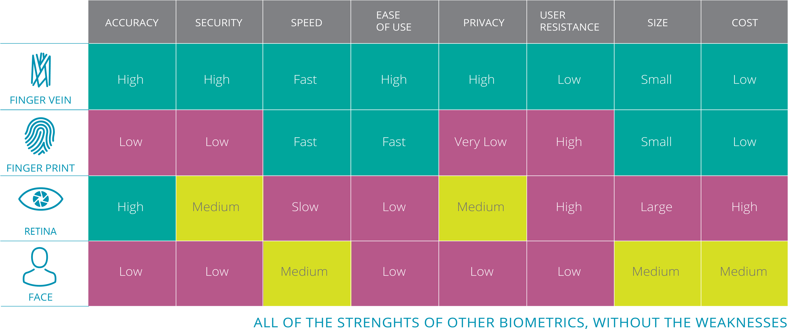 Vein Authentication - Graphic Design (3156x1483), Png Download