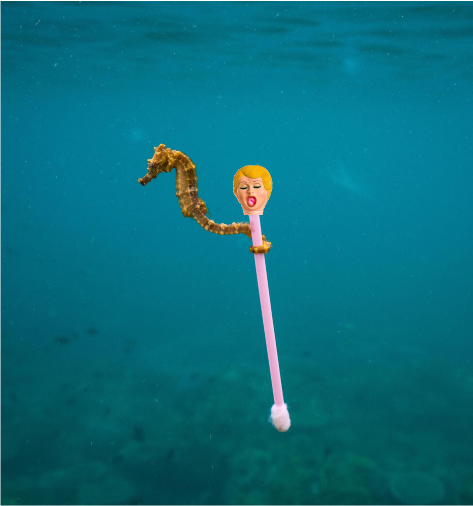 Heading To A Bachelor Party - Seahorse (960x1280), Png Download