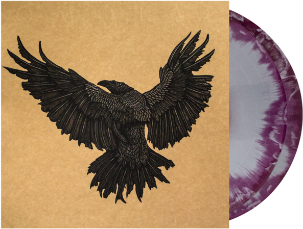 A Ruined Oak Vinyl 2xlp - Bald Eagle (600x600), Png Download