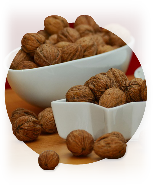 Walnuts - Nut (506x612), Png Download