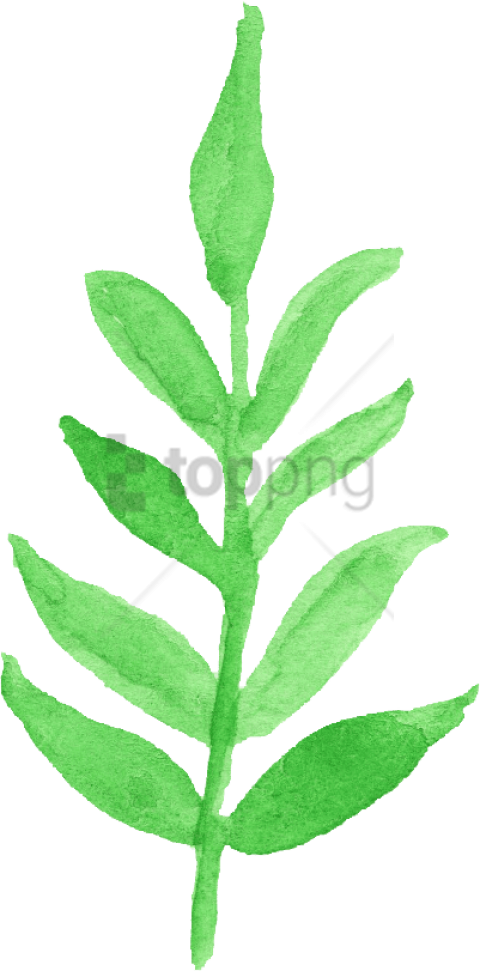 Free Png Download Watercolor Leaf Transparent Png Images - Watercolor Transparent Leaves Clipart (480x971), Png Download