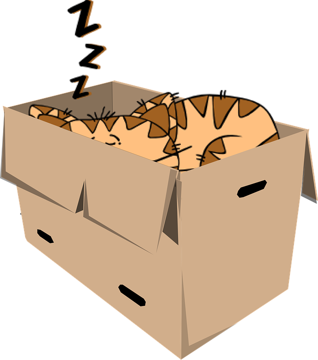 Cat In Box Png - Cartoon Cat (635x720), Png Download