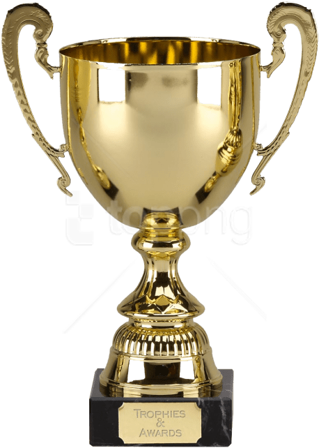 Free Png Download Trophy Free Png Images Background - Transparent Background Trophy Png (480x672), Png Download
