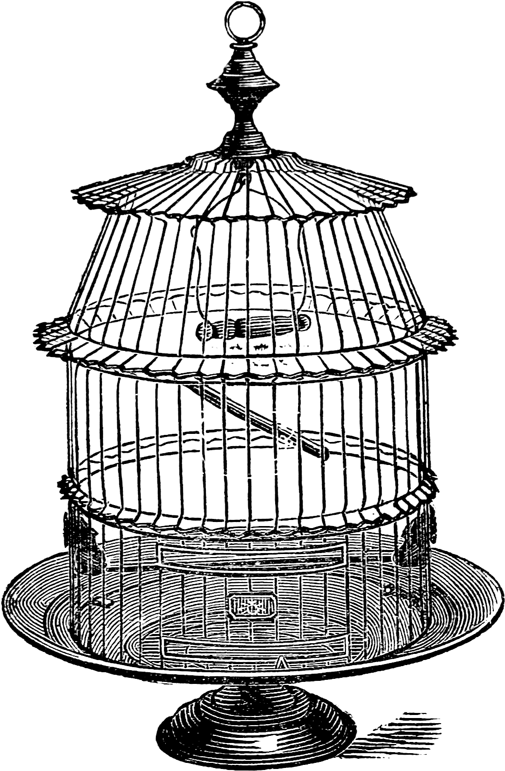 Drawn Birdcage Set Free - The Birdcage (1067x1521), Png Download