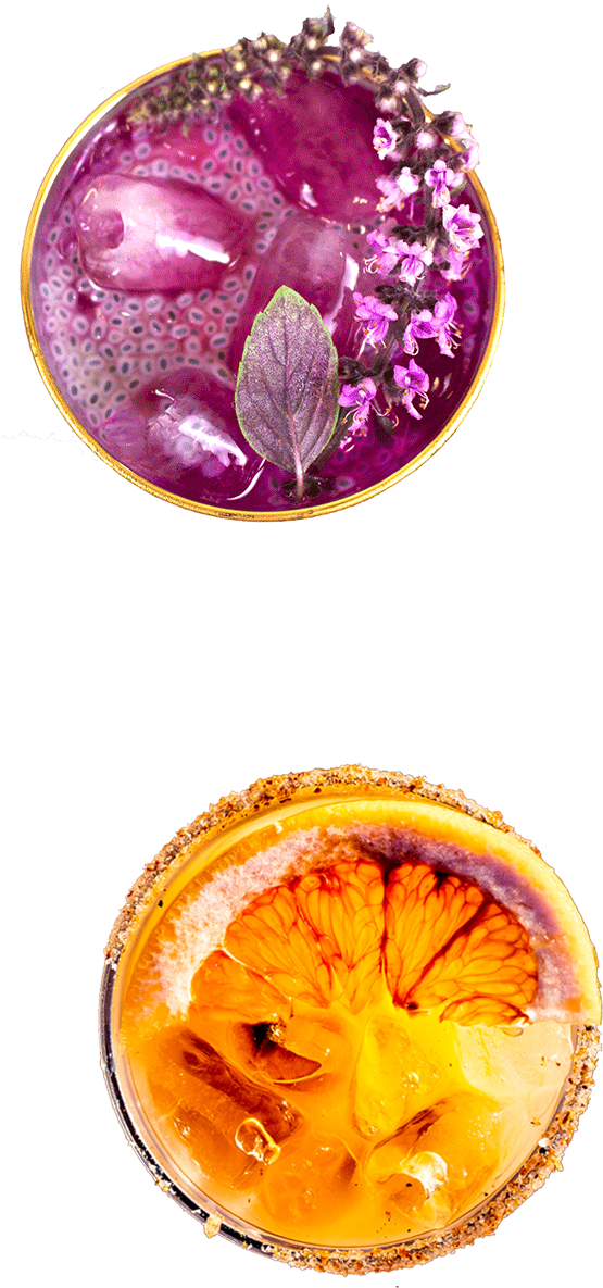 Snake Oil Cocktail Pitaya And Xolo Margarita - Floral Design (565x1184), Png Download