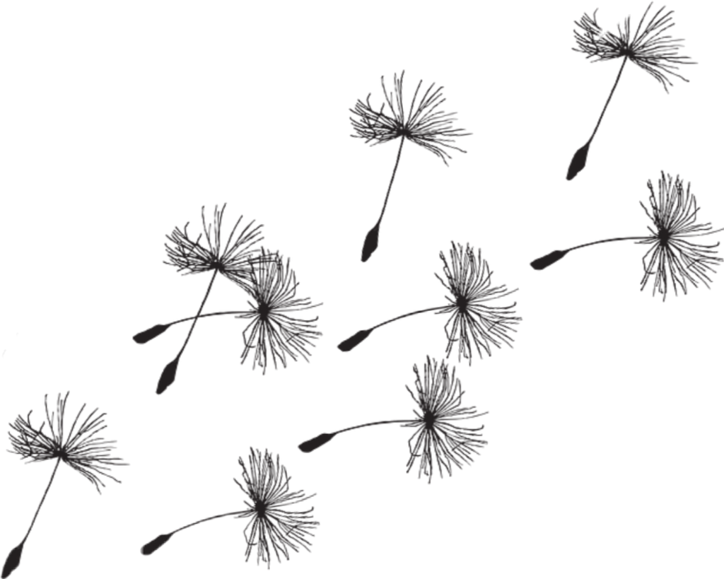 Clip Art Dandelion Seeds (1024x819), Png Download