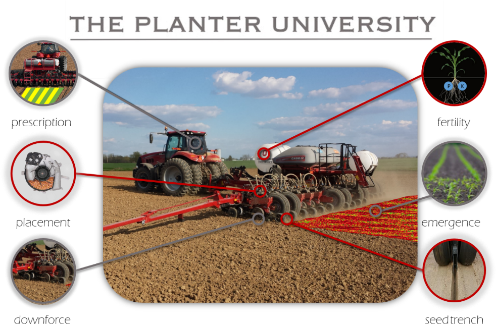 About The C - Poor Corn Emergence (991x662), Png Download