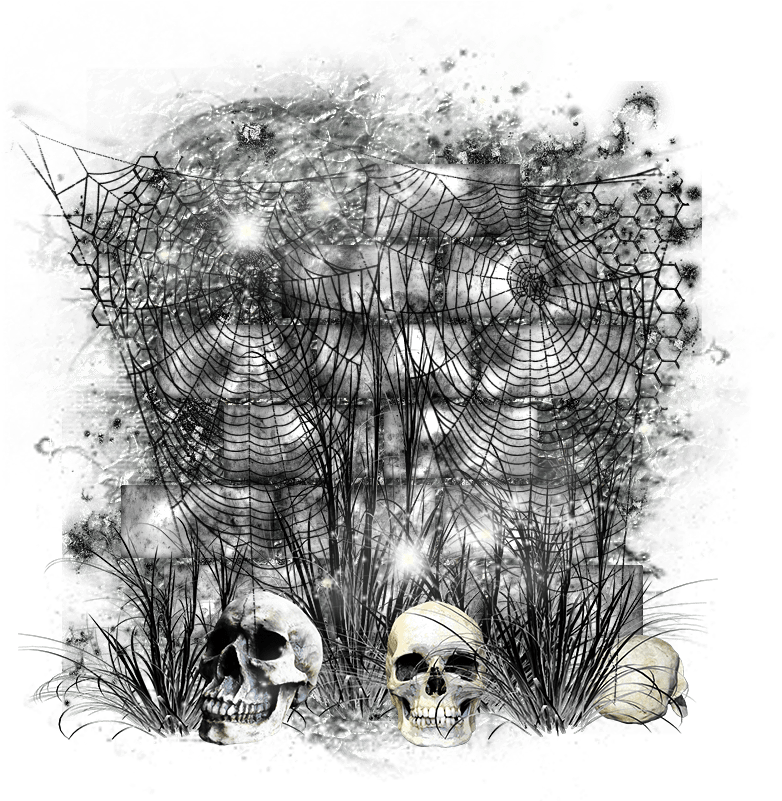 Halloween Element 800 X Transparent - Sketch (800x800), Png Download