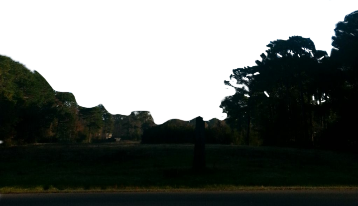 Palm Tree (719x413), Png Download