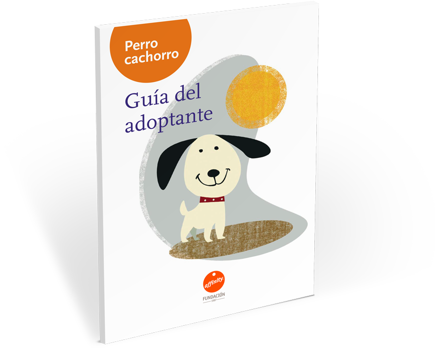 Descarga Gratis La Guía Del Adoptante Y Ofrécela A - Cartoon (900x900), Png Download