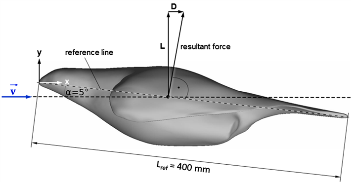 Definition Of Reference Line, Angle Of Attack And Schematic - Diagram (902x368), Png Download
