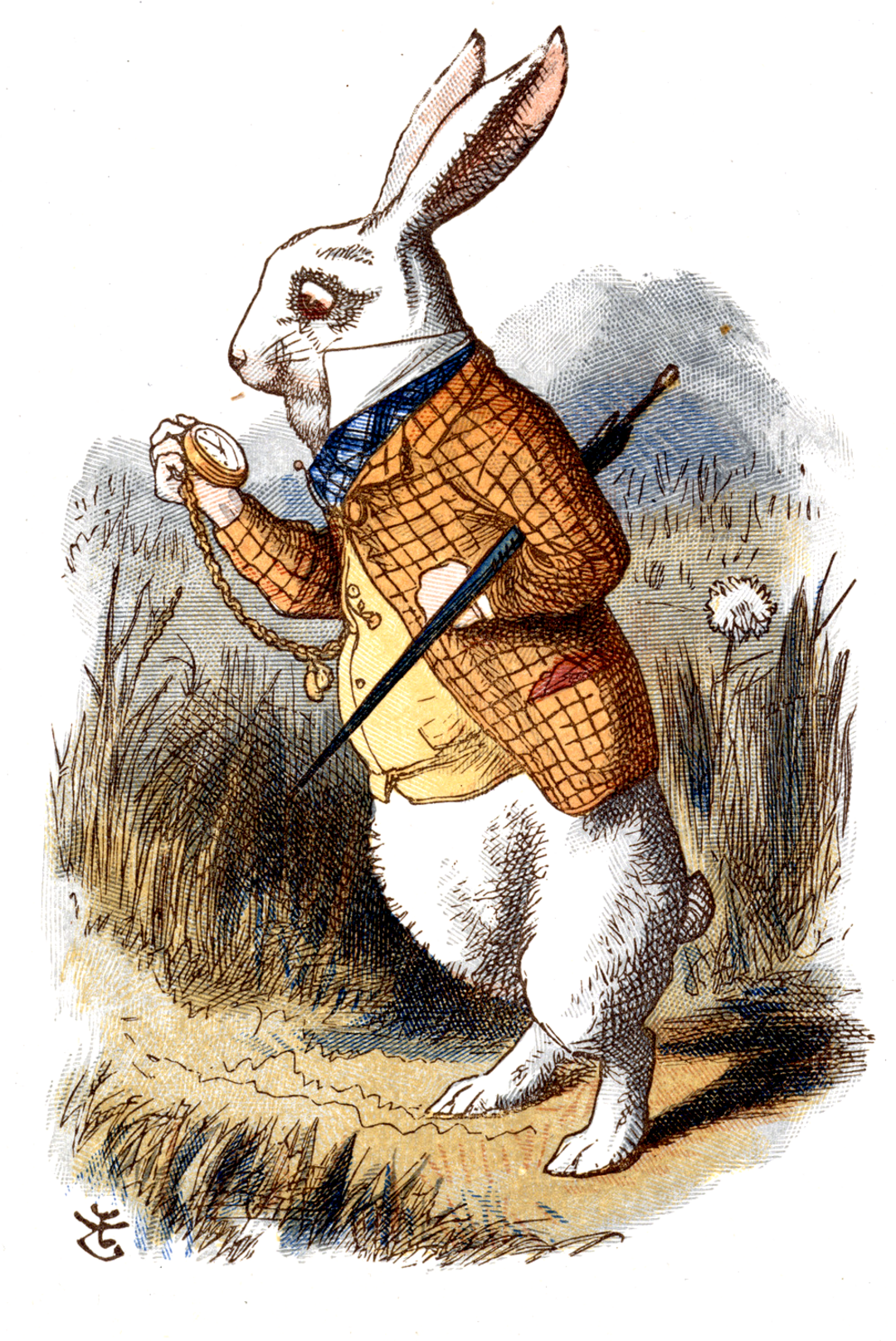 I Down The Rabbit-hole - White Rabbit Alice In Wonderland Book (1080x1616), Png Download