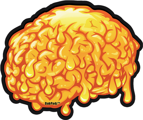 Brains Png - Brain (600x600), Png Download