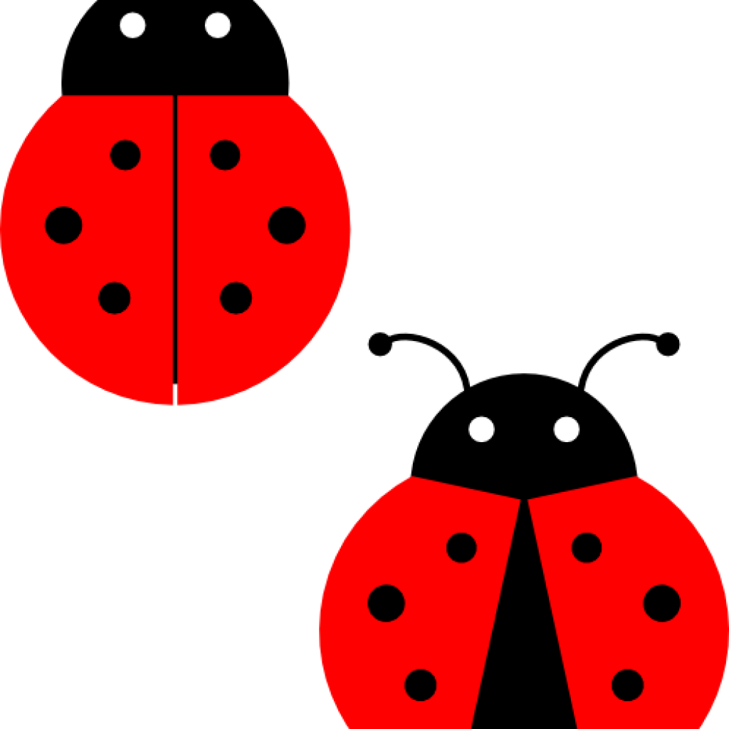 Ladybugs Clipart Ladybugs Clip Art At Clker Vector - Drawing Ladybird (1024x1024), Png Download